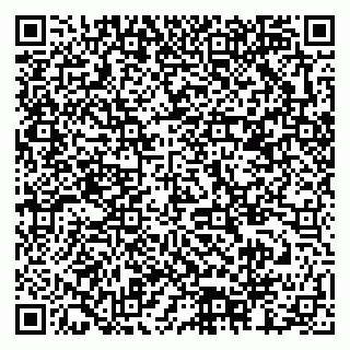 vCard 79378002919