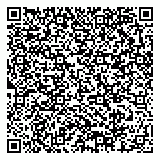 vCard 79378002929