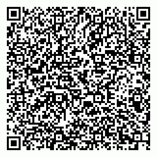 vCard 79378002931
