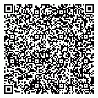 vCard 79378002935