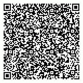 vCard 79378002937