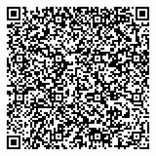vCard 79378002940