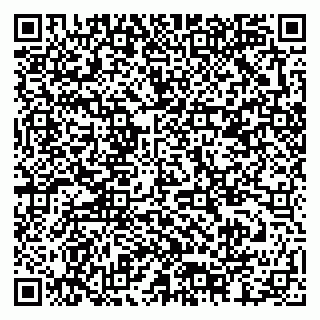 vCard 79378002949