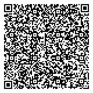 vCard 79378002955