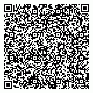 vCard 79378002962