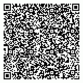 vCard 79378002964