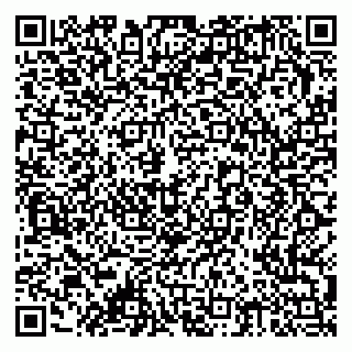 vCard 79378002965