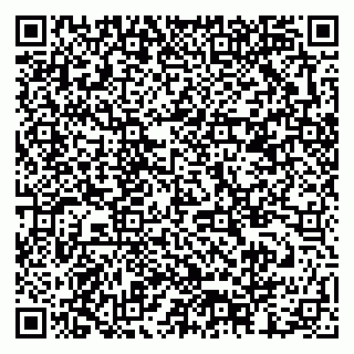 vCard 79378002967