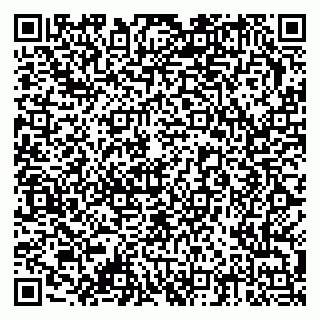 vCard 79378002973