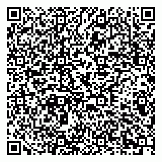vCard 79378002974