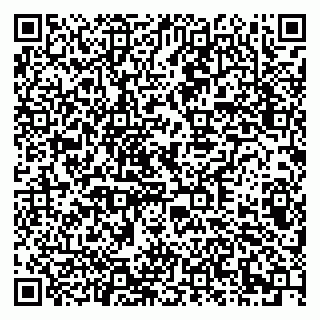 vCard 79378002975