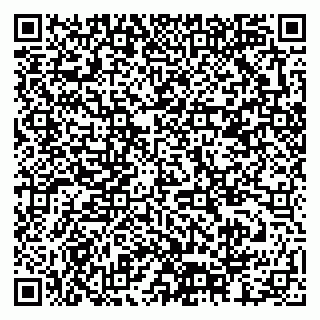 vCard 79378002976