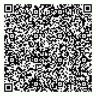 vCard 79378002977