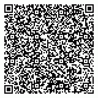 vCard 79378002980