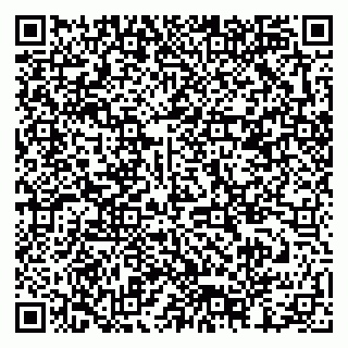 vCard 79378002982