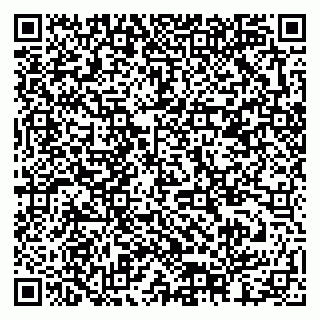 vCard 79378002984