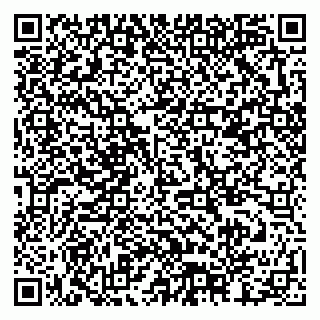 vCard 79378002989