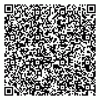vCard 79378002993