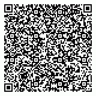 vCard 79378002995