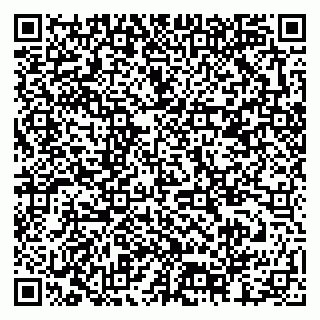 vCard 79378002996