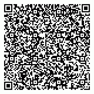 vCard 79378003004