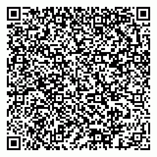 vCard 79378003011