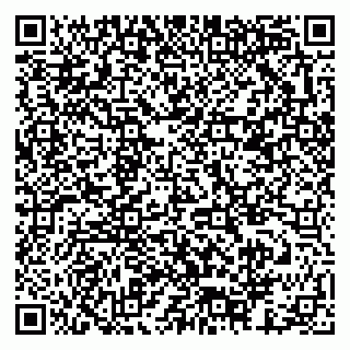 vCard 79378003013