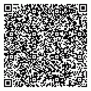 vCard 79378003021