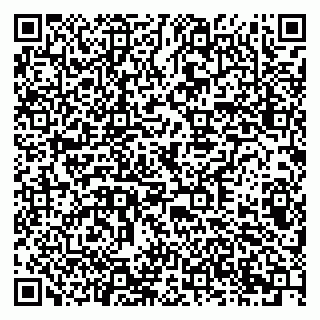 vCard 79378003027
