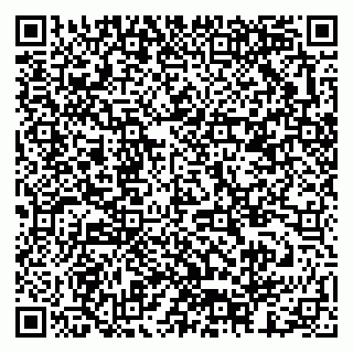 vCard 79378003028