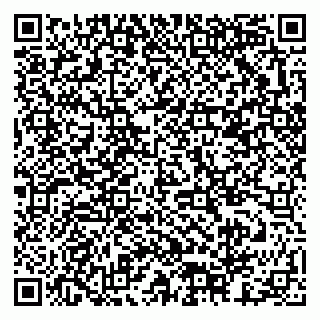 vCard 79378003029