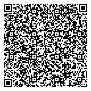 vCard 79378003039