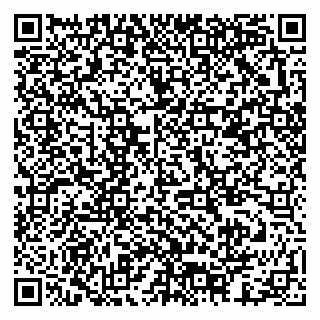 vCard 79378003041