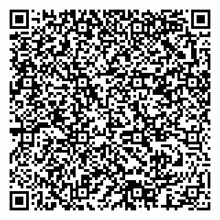vCard 79378003044
