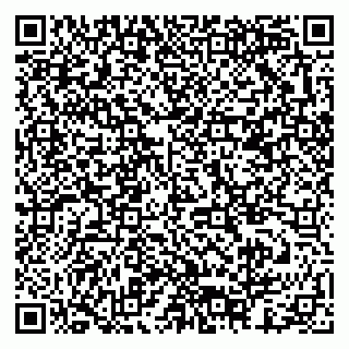 vCard 79378003065