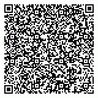vCard 79378003073