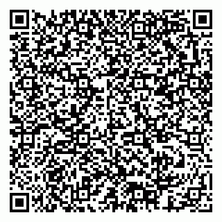 vCard 79378003074