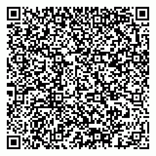 vCard 79378003081