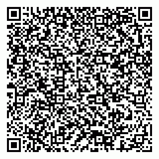 vCard 79378003085