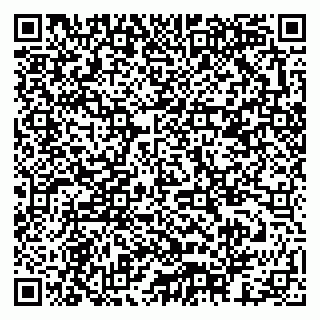 vCard 79378003091