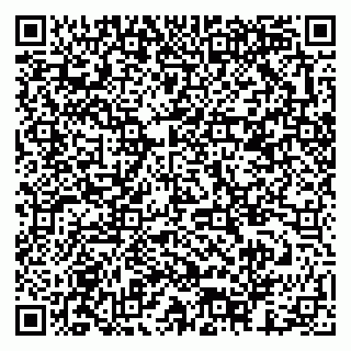 vCard 79378003097