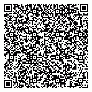 vCard 79378003108