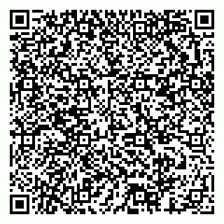 vCard 79378003127