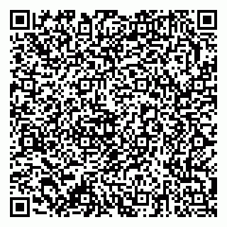 vCard 79378003131