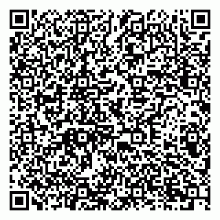 vCard 79378003133