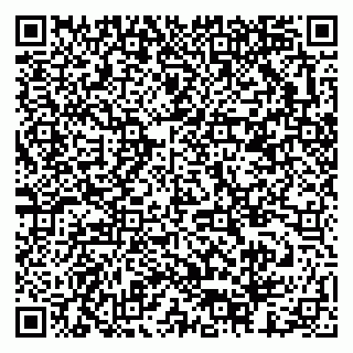 vCard 79378003135