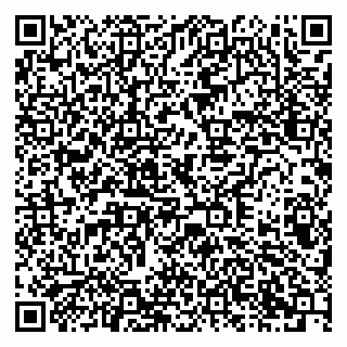 vCard 79378003138