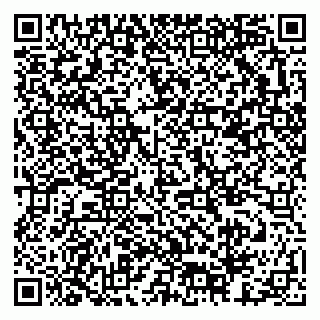 vCard 79378003139