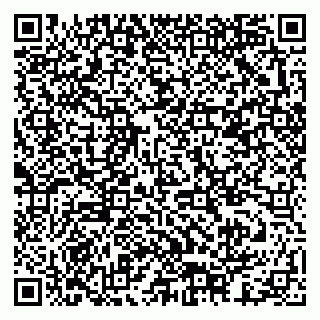 vCard 79378003140