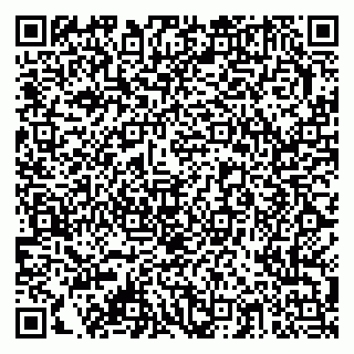 vCard 79378003141